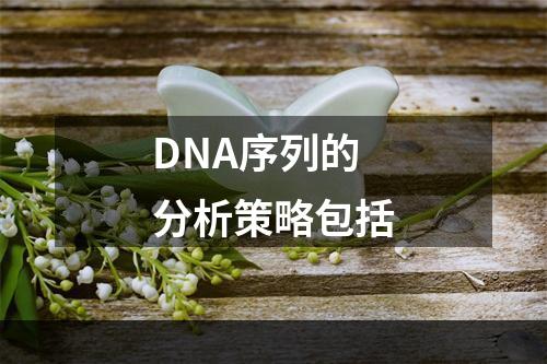 DNA序列的分析策略包括