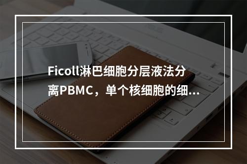 Ficoll淋巴细胞分层液法分离PBMC，单个核细胞的细胞获