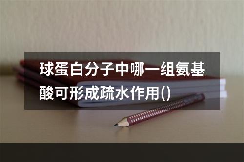 球蛋白分子中哪一组氨基酸可形成疏水作用()