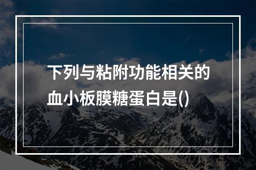 下列与粘附功能相关的血小板膜糖蛋白是()