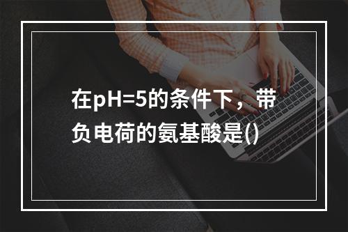 在pH=5的条件下，带负电荷的氨基酸是()