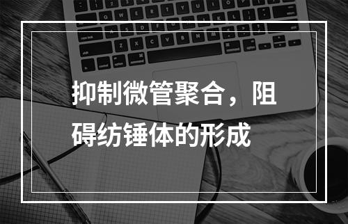 抑制微管聚合，阻碍纺锤体的形成