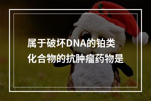 属于破坏DNA的铂类化合物的抗肿瘤药物是