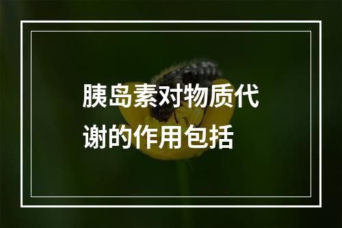 胰岛素对物质代谢的作用包括