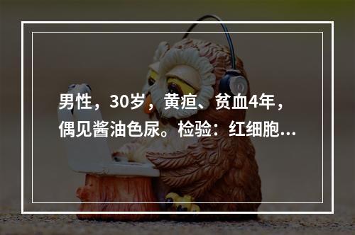 男性，30岁，黄疸、贫血4年，偶见酱油色尿。检验：红细胞2.