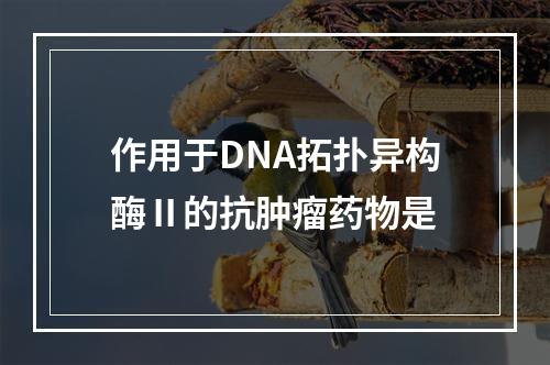 作用于DNA拓扑异构酶Ⅱ的抗肿瘤药物是