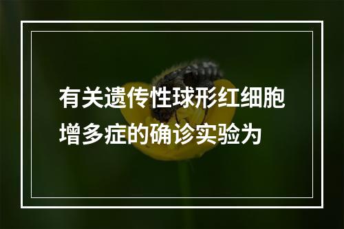 有关遗传性球形红细胞增多症的确诊实验为