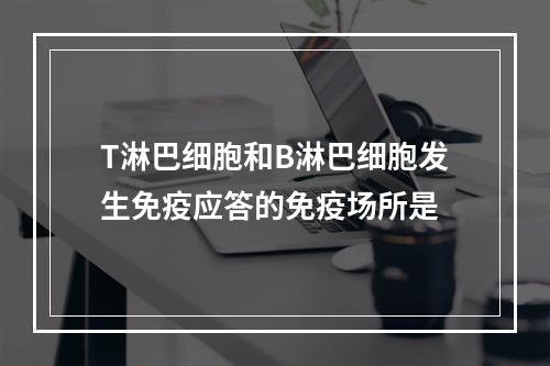 T淋巴细胞和B淋巴细胞发生免疫应答的免疫场所是