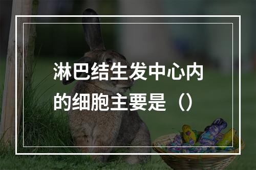 淋巴结生发中心内的细胞主要是（）