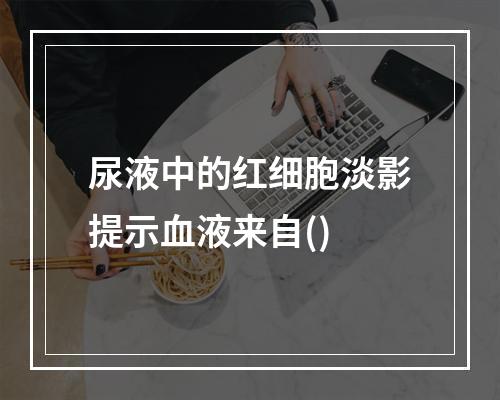 尿液中的红细胞淡影提示血液来自()