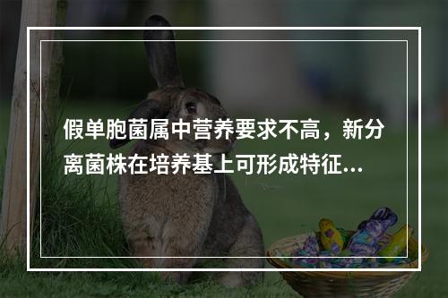 假单胞菌属中营养要求不高，新分离菌株在培养基上可形成特征性干