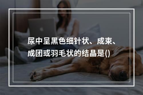 尿中呈黑色细针状、成束、成团或羽毛状的结晶是()