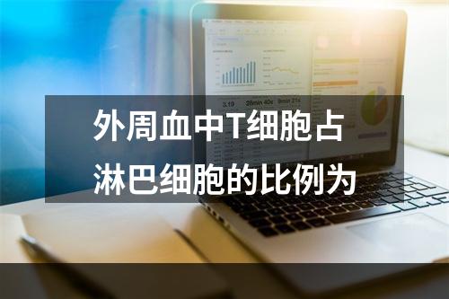 外周血中T细胞占淋巴细胞的比例为