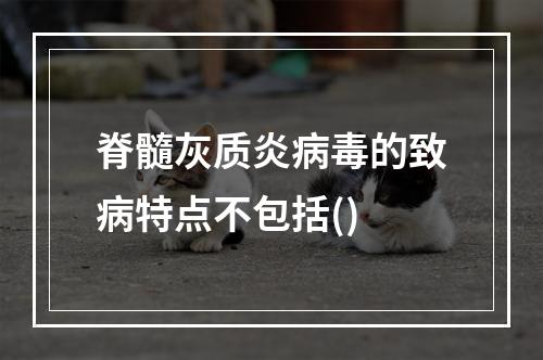 脊髓灰质炎病毒的致病特点不包括()