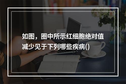 如图，圈中所示红细胞绝对值减少见于下列哪些疾病()