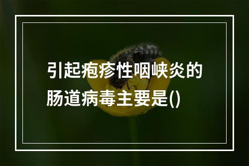 引起疱疹性咽峡炎的肠道病毒主要是()