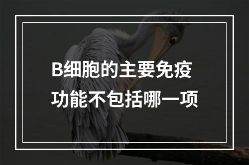 B细胞的主要免疫功能不包括哪一项