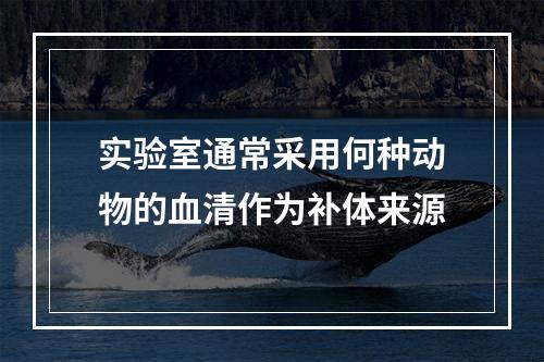 实验室通常采用何种动物的血清作为补体来源