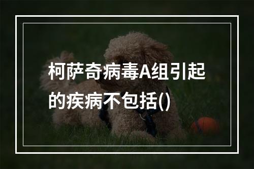 柯萨奇病毒A组引起的疾病不包括()