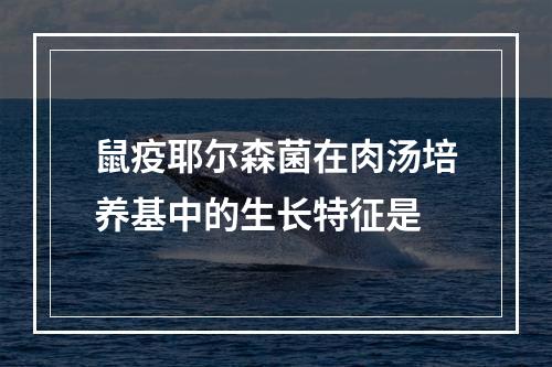 鼠疫耶尔森菌在肉汤培养基中的生长特征是