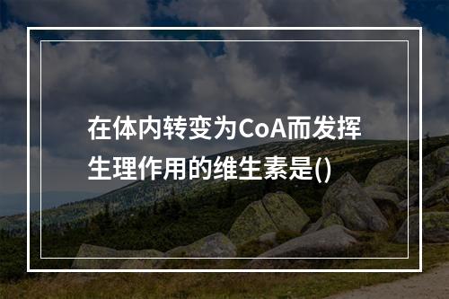 在体内转变为CoA而发挥生理作用的维生素是()