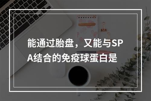 能通过胎盘，又能与SPA结合的免疫球蛋白是