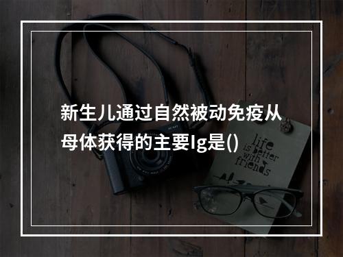 新生儿通过自然被动免疫从母体获得的主要Ig是()