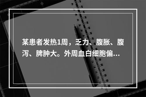 某患者发热1周，乏力、腹胀、腹泻、脾肿大。外周血白细胞偏低，