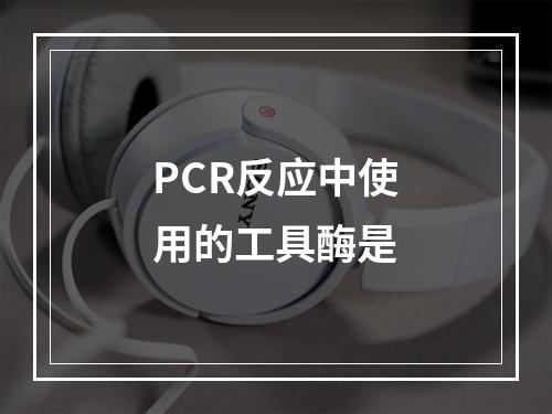 PCR反应中使用的工具酶是