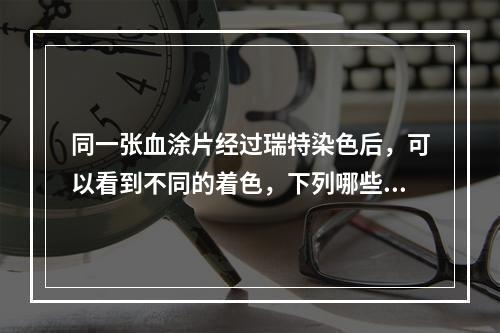 同一张血涂片经过瑞特染色后，可以看到不同的着色，下列哪些为碱