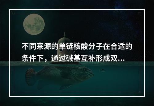 不同来源的单链核酸分子在合适的条件下，通过碱基互补形成双链杂