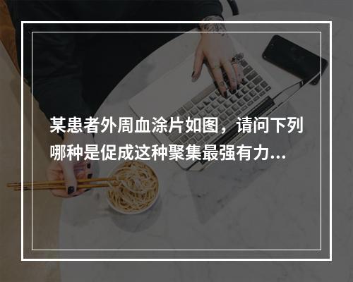 某患者外周血涂片如图，请问下列哪种是促成这种聚集最强有力的物