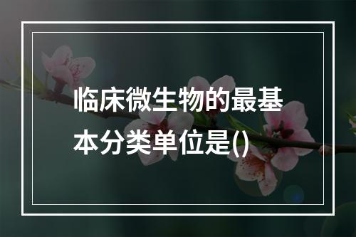 临床微生物的最基本分类单位是()