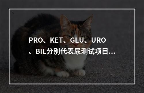 PRO、KET、GLU、URO、BIL分别代表尿测试项目()