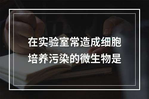 在实验室常造成细胞培养污染的微生物是