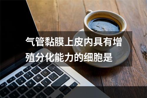 气管黏膜上皮内具有增殖分化能力的细胞是