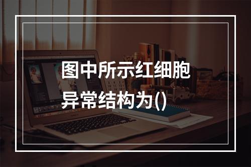 图中所示红细胞异常结构为()