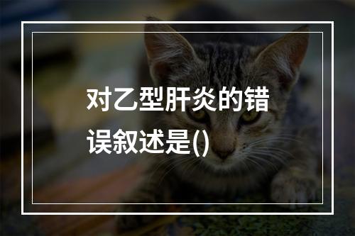 对乙型肝炎的错误叙述是()