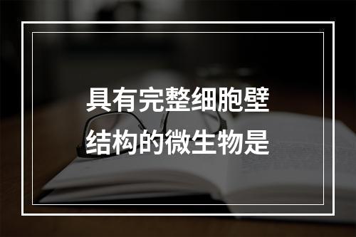 具有完整细胞壁结构的微生物是