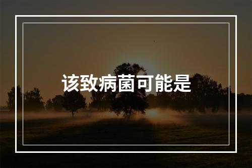 该致病菌可能是