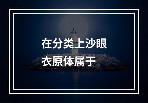 在分类上沙眼衣原体属于