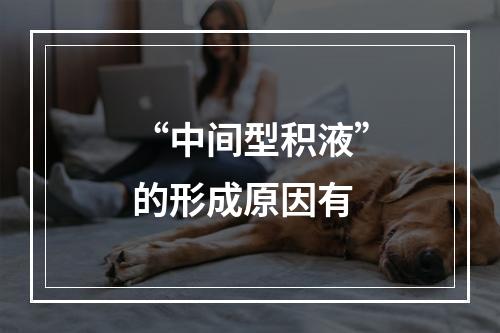 “中间型积液”的形成原因有