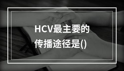 HCV最主要的传播途径是()