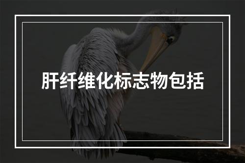 肝纤维化标志物包括