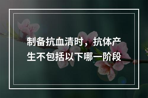 制备抗血清时，抗体产生不包括以下哪一阶段