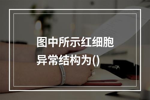 图中所示红细胞异常结构为()