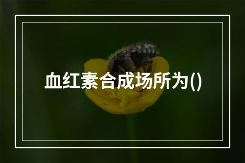 血红素合成场所为()