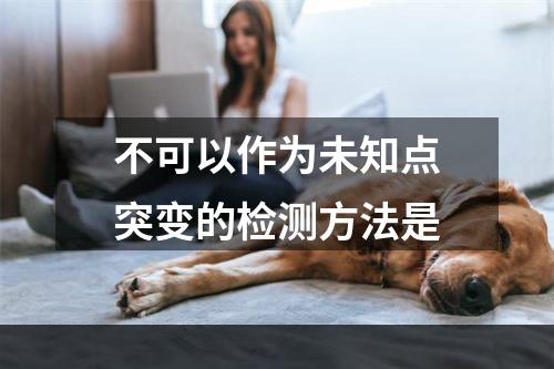 不可以作为未知点突变的检测方法是