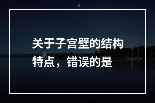 关于子宫壁的结构特点，错误的是