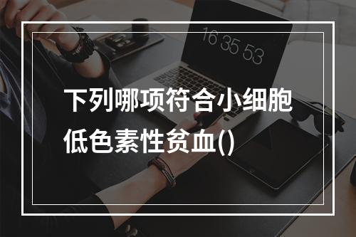 下列哪项符合小细胞低色素性贫血()